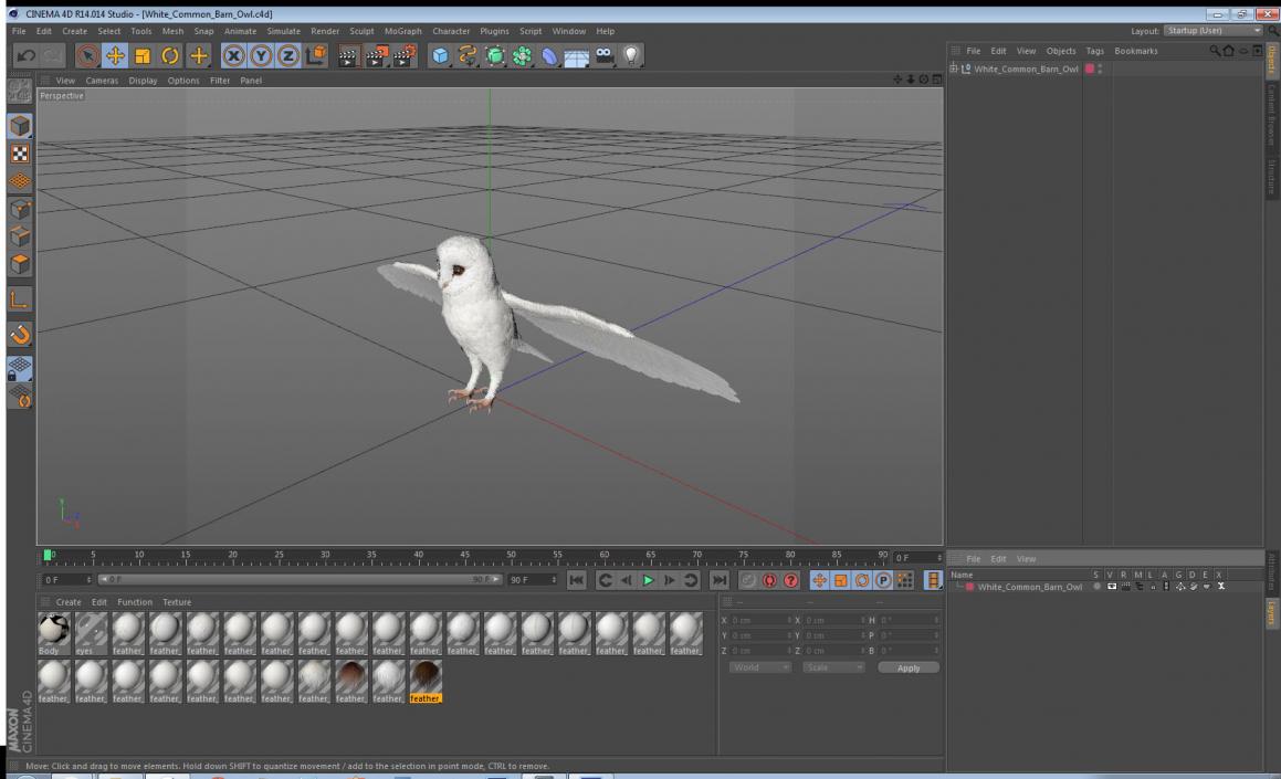 3D White Common Barn Owl