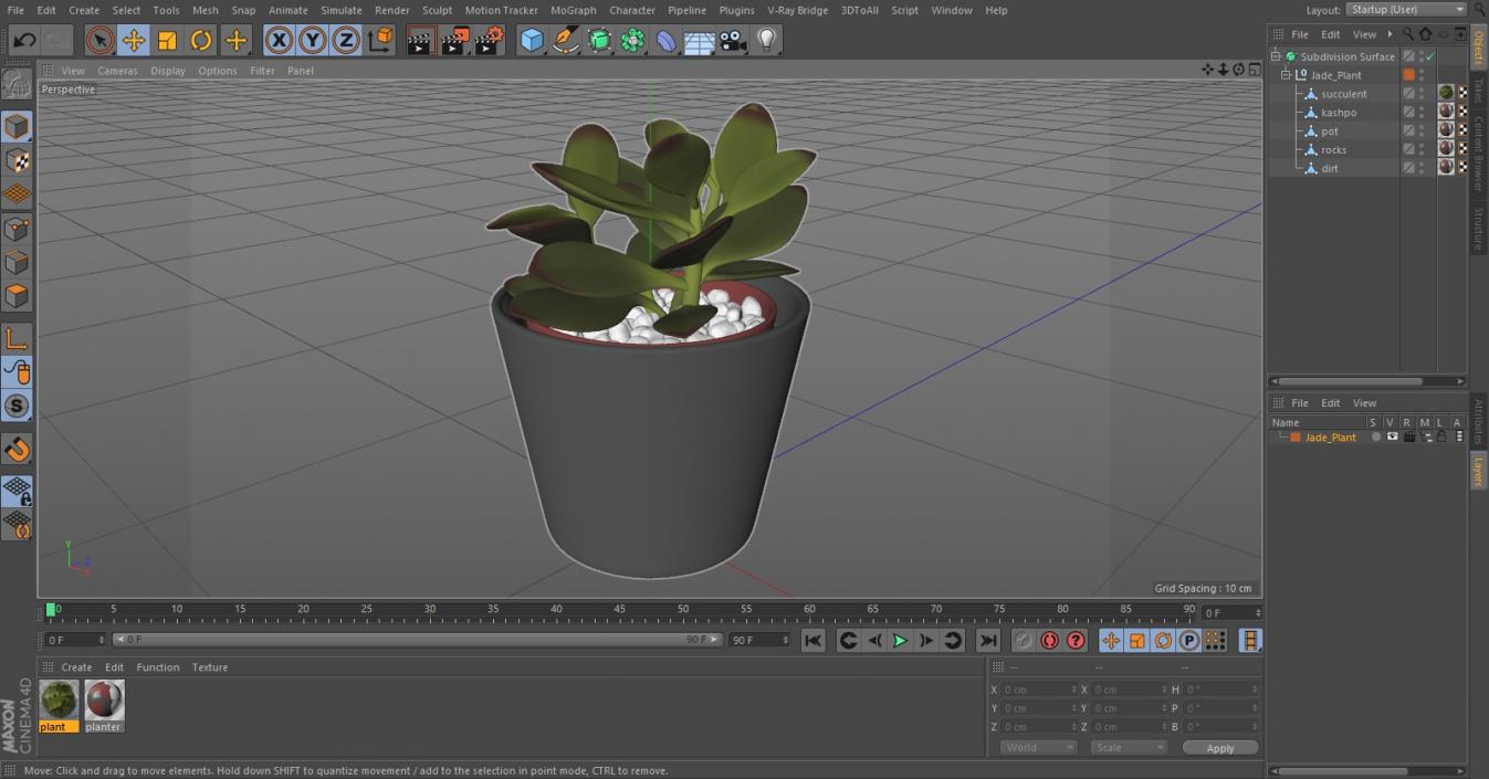 3D model Jade Plant