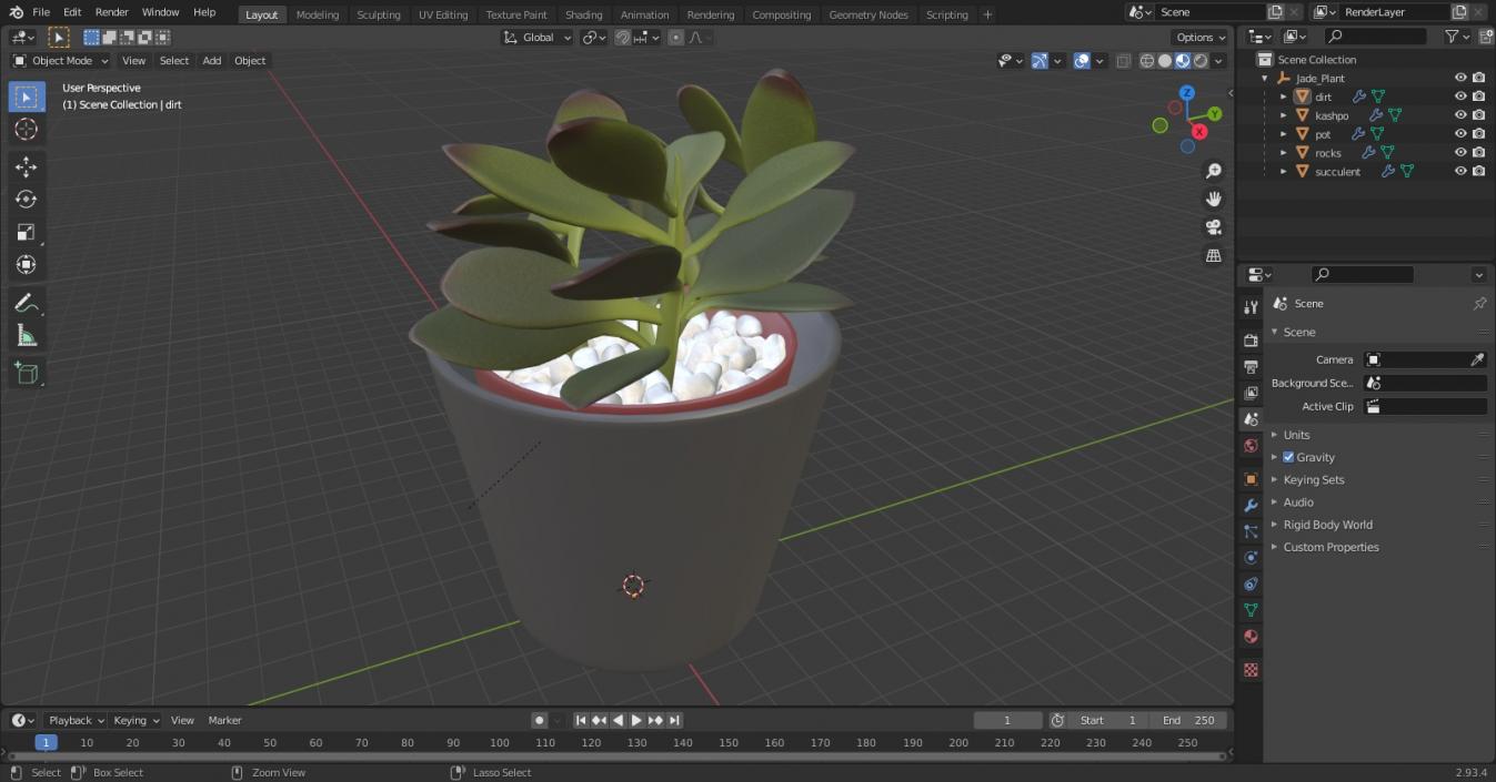 3D model Jade Plant