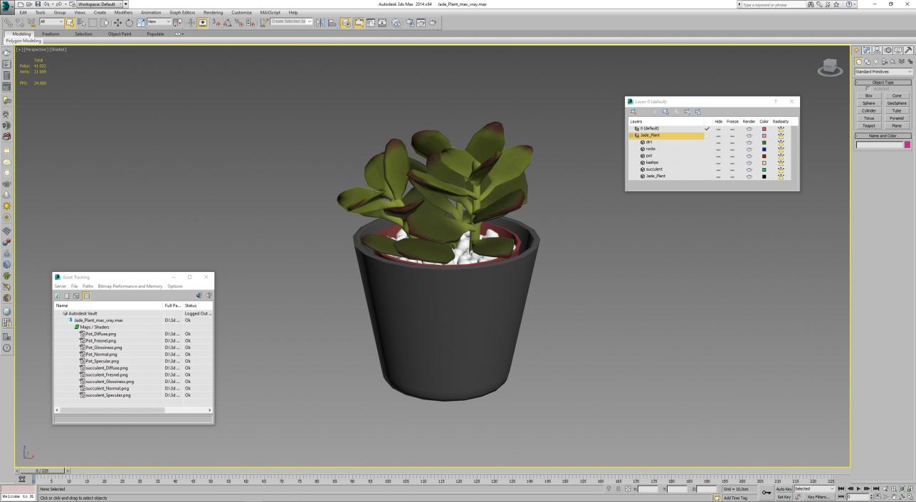 3D model Jade Plant