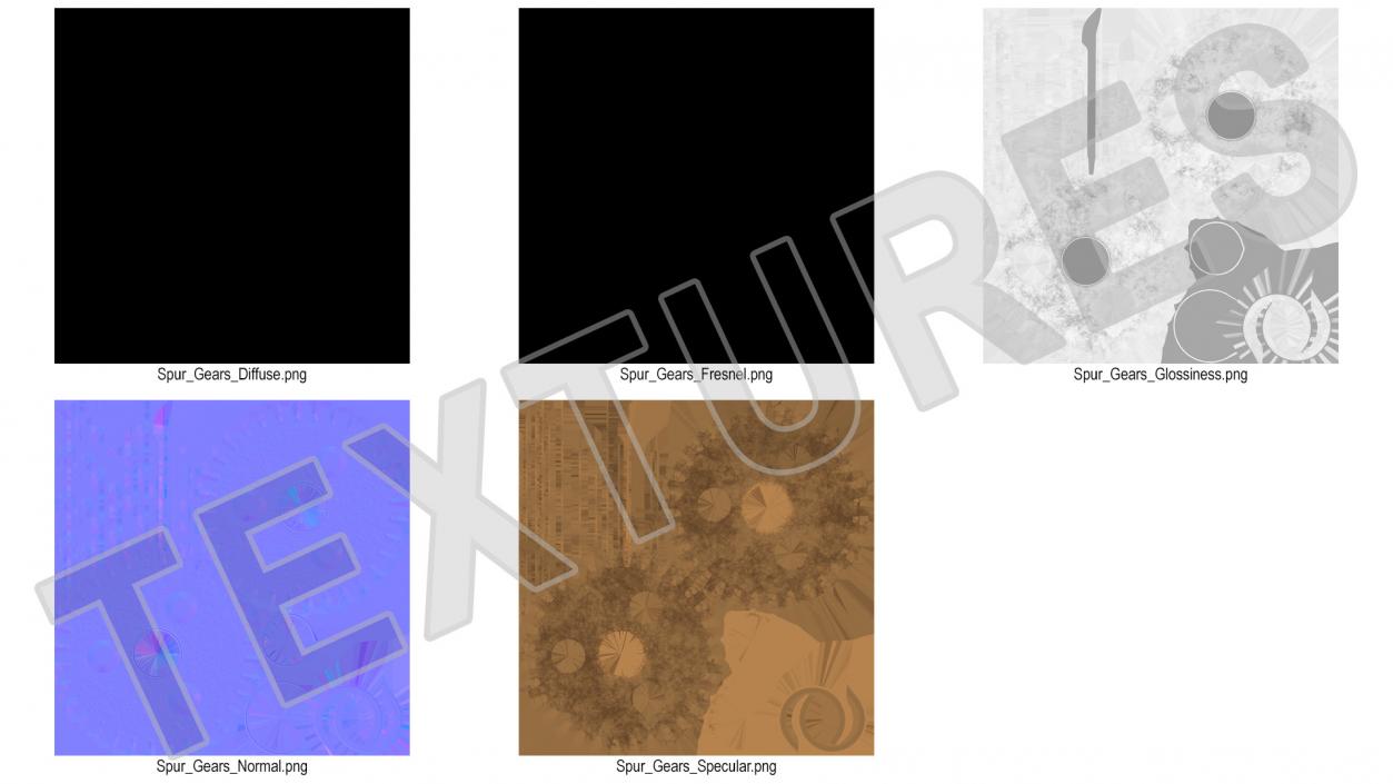 3D model Spur Gears