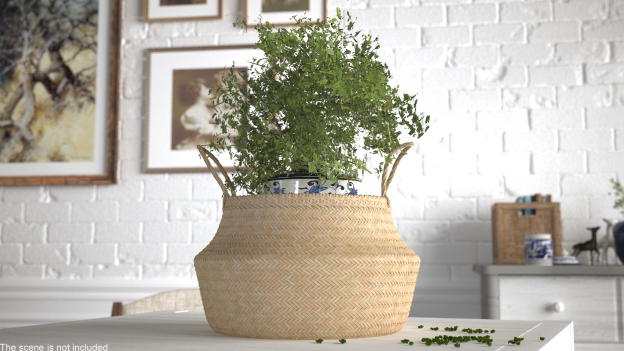 3D Foldable Wicker Straw Basket model