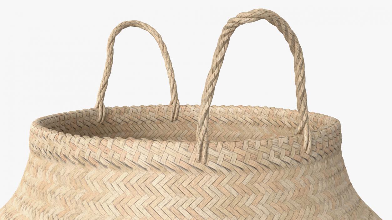 3D Foldable Wicker Straw Basket model