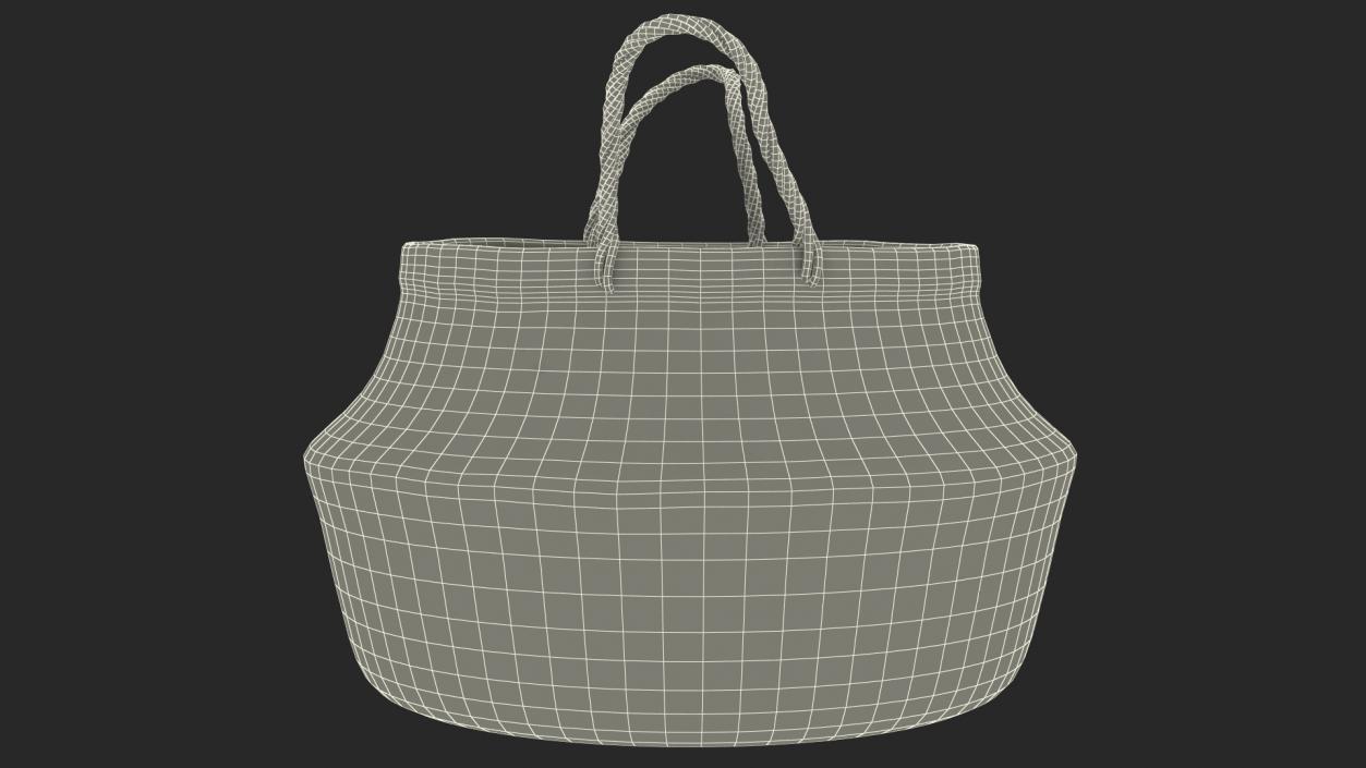 3D Foldable Wicker Straw Basket model