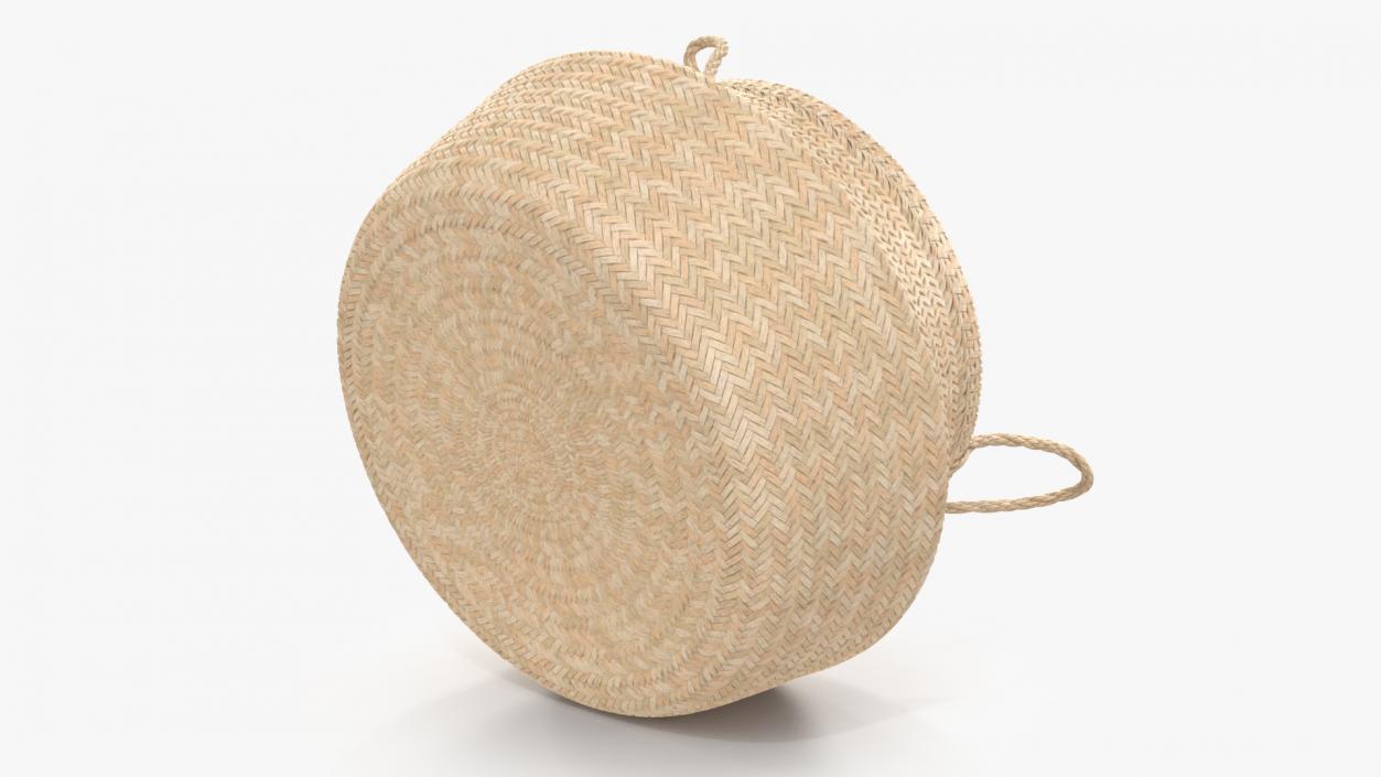 3D Foldable Wicker Straw Basket model