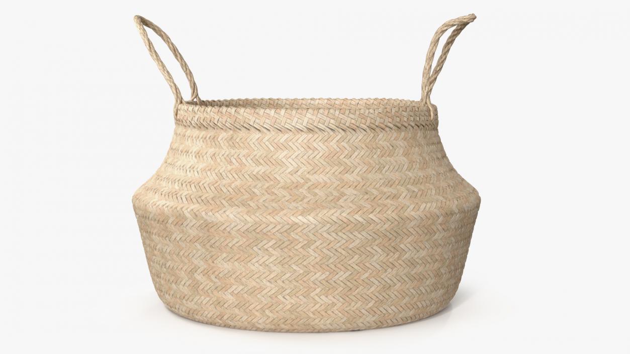 3D Foldable Wicker Straw Basket model