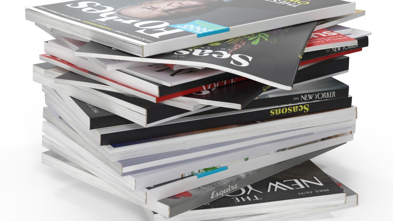 Pile of Magazines 3D