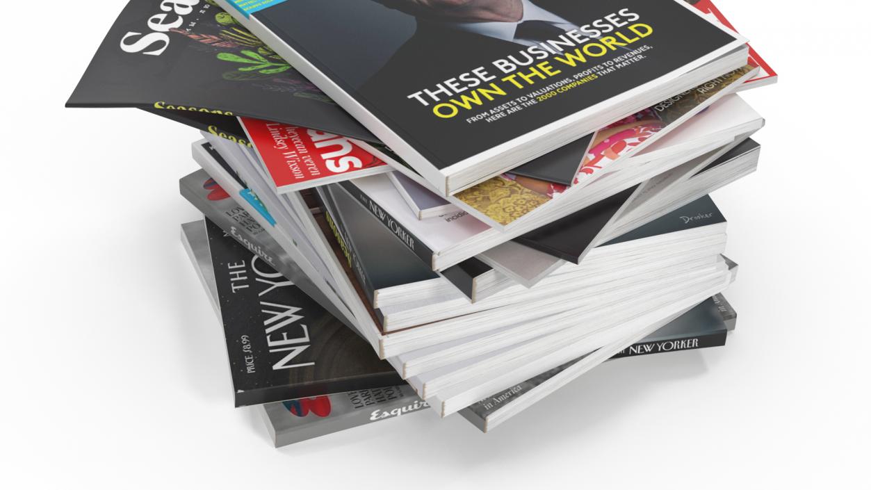 Pile of Magazines 3D