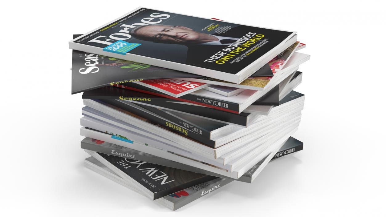 Pile of Magazines 3D