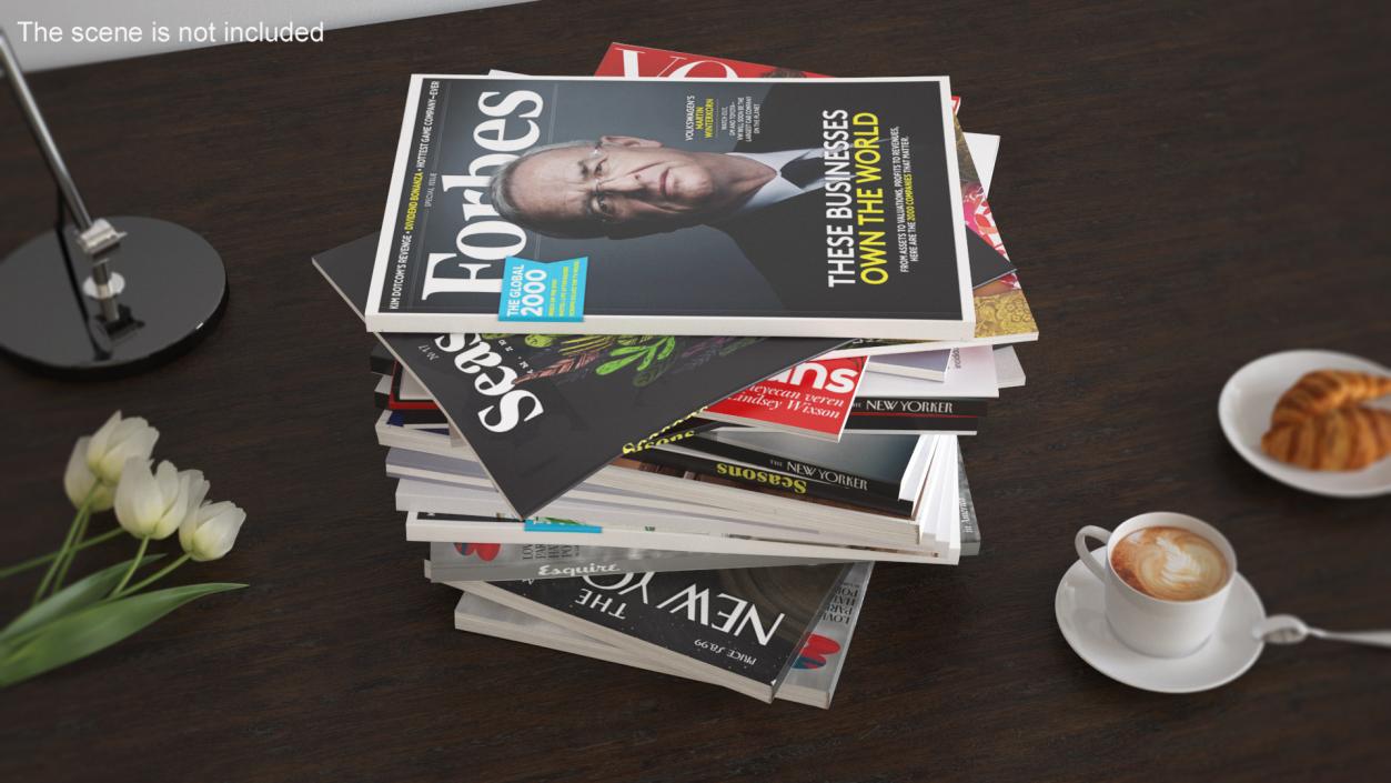 Pile of Magazines 3D