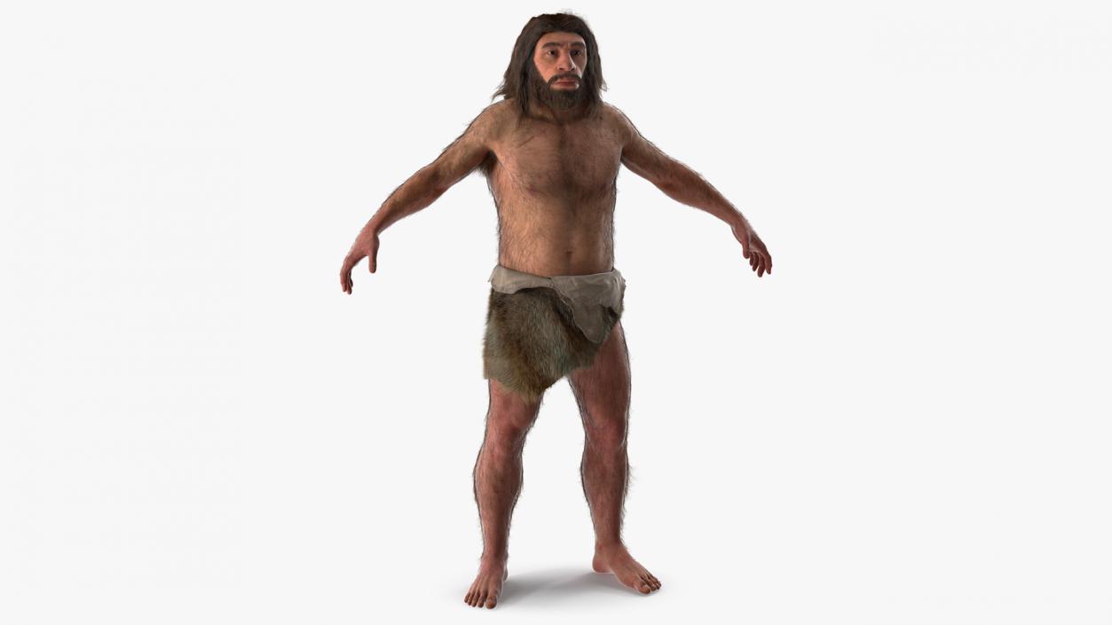 Neanderthal T-Pose Fur 3D