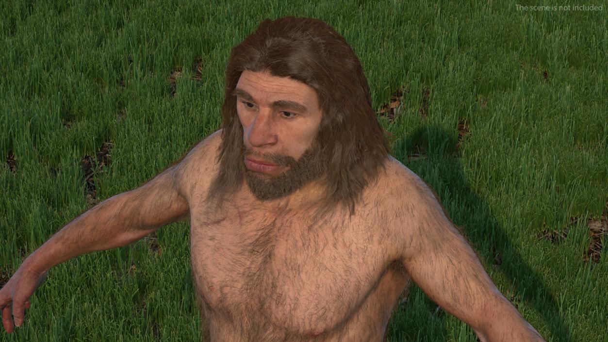 Neanderthal T-Pose Fur 3D