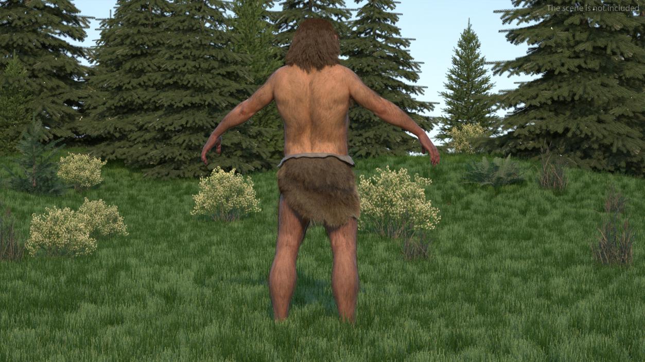 Neanderthal T-Pose Fur 3D