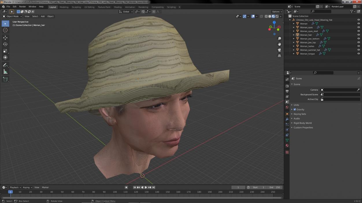 3D Chinese Old Lady Head Wearing Hat model