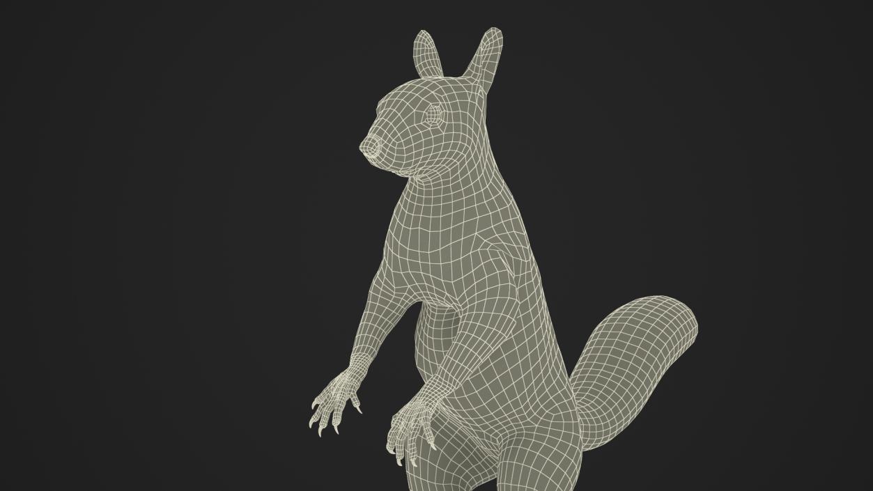 3D Gray Squirrel in Standing Pose Fur 2