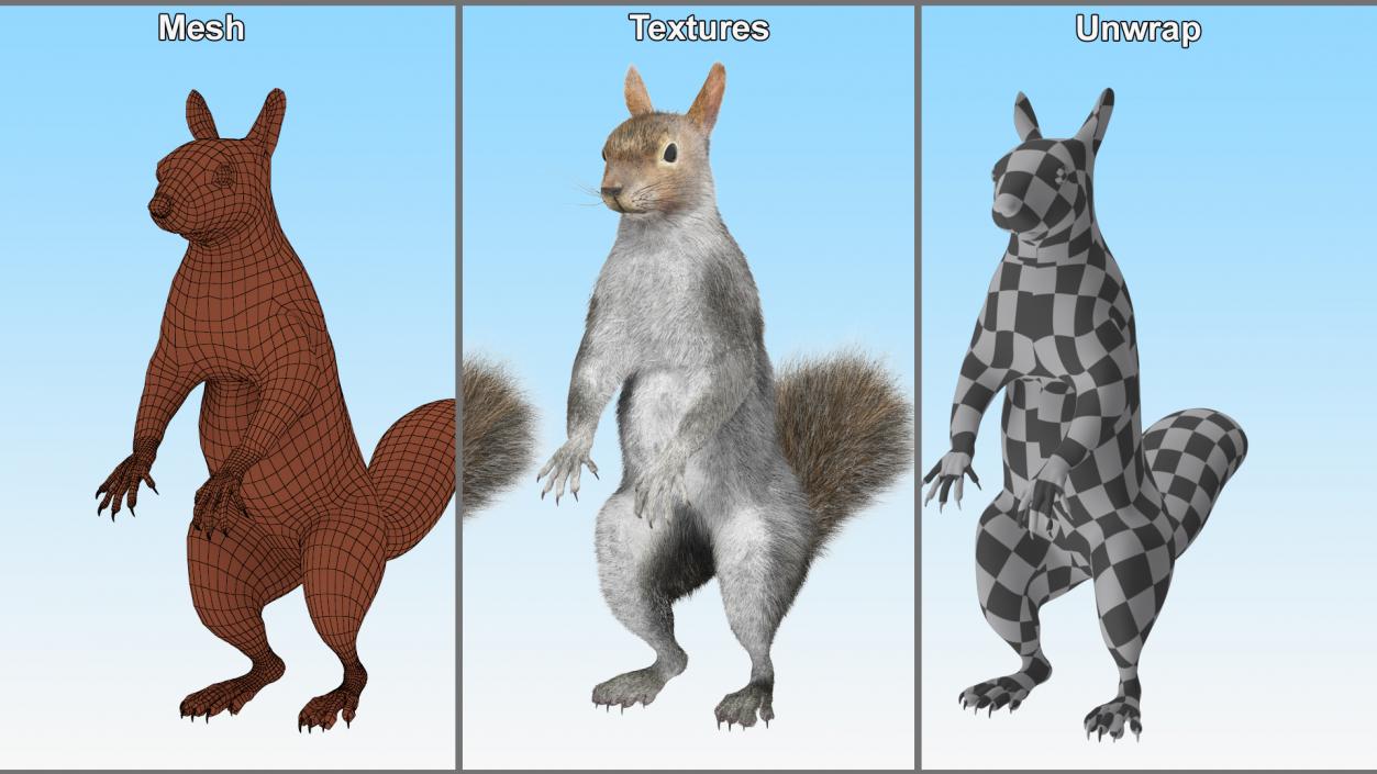 3D Gray Squirrel in Standing Pose Fur 2