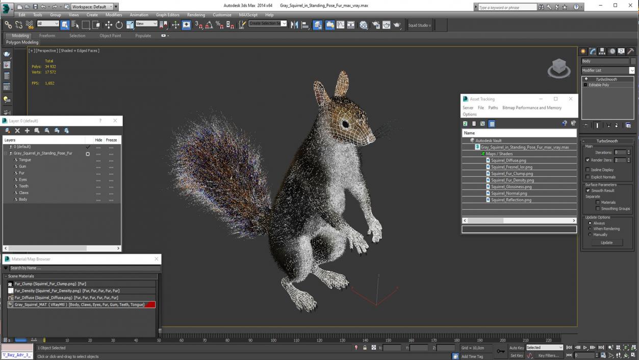 3D Gray Squirrel in Standing Pose Fur 2