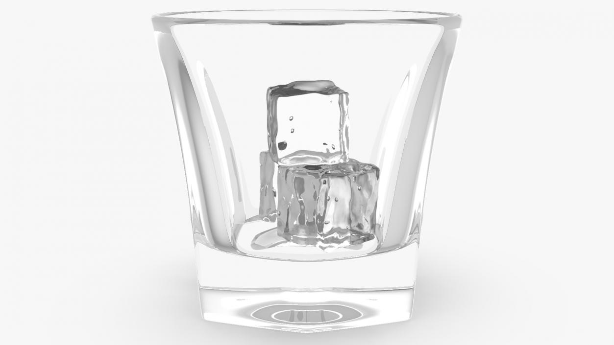 3D model Empty Shot Glass with Ice