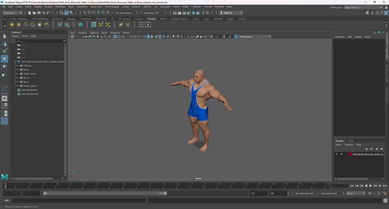 3D model Well Built Muscular Male in Blue Leotard