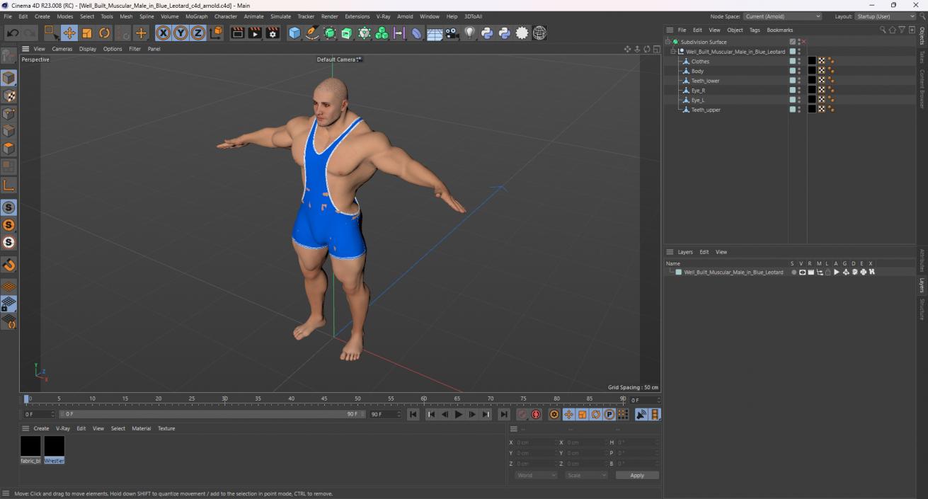 3D model Well Built Muscular Male in Blue Leotard