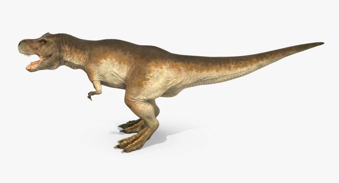 Tyrannosaurus Rex 3D