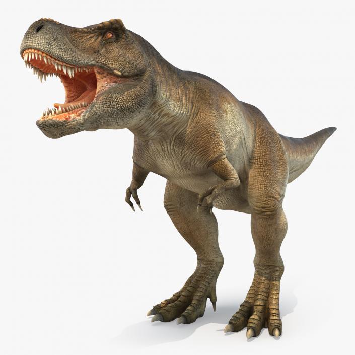 3D model Dinosaurs Collection