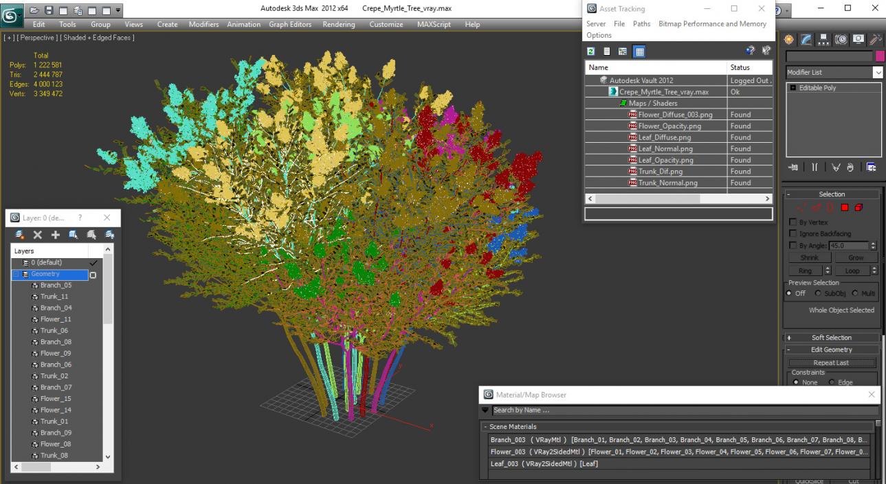 Crepe Myrtle Tree 3D