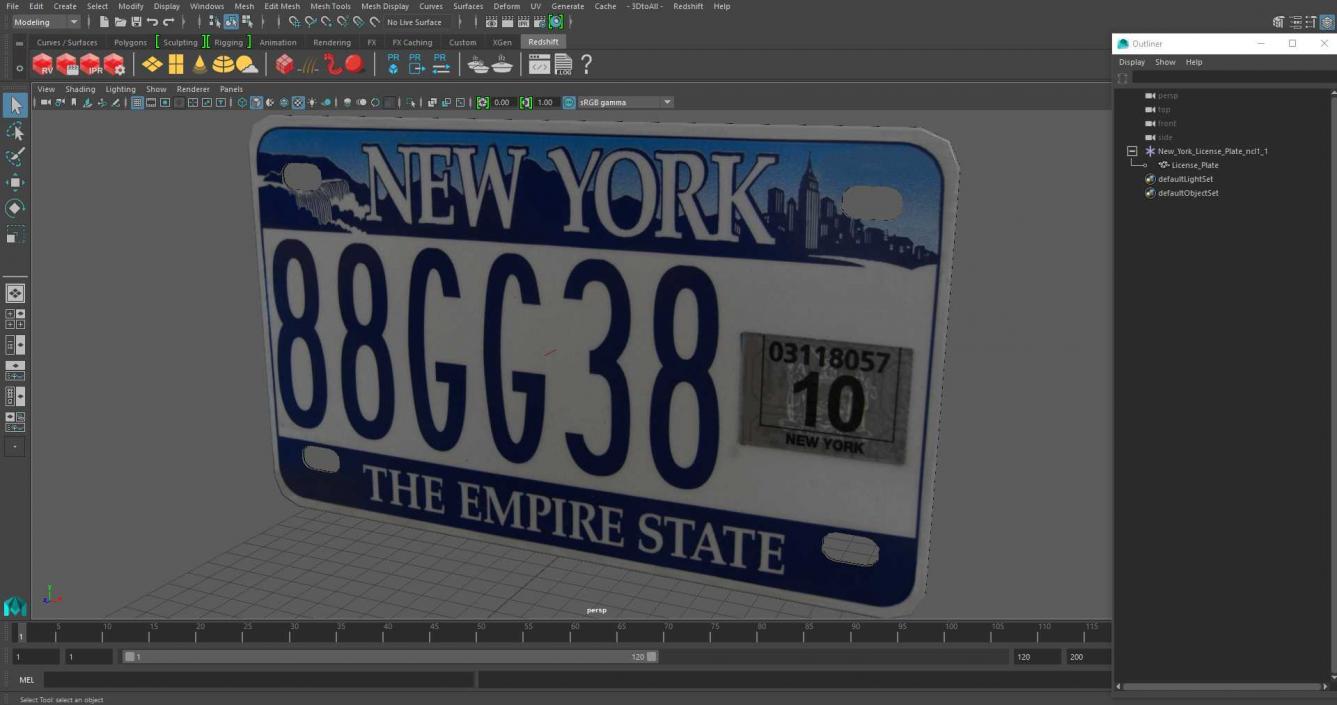 New York License Plate 3D