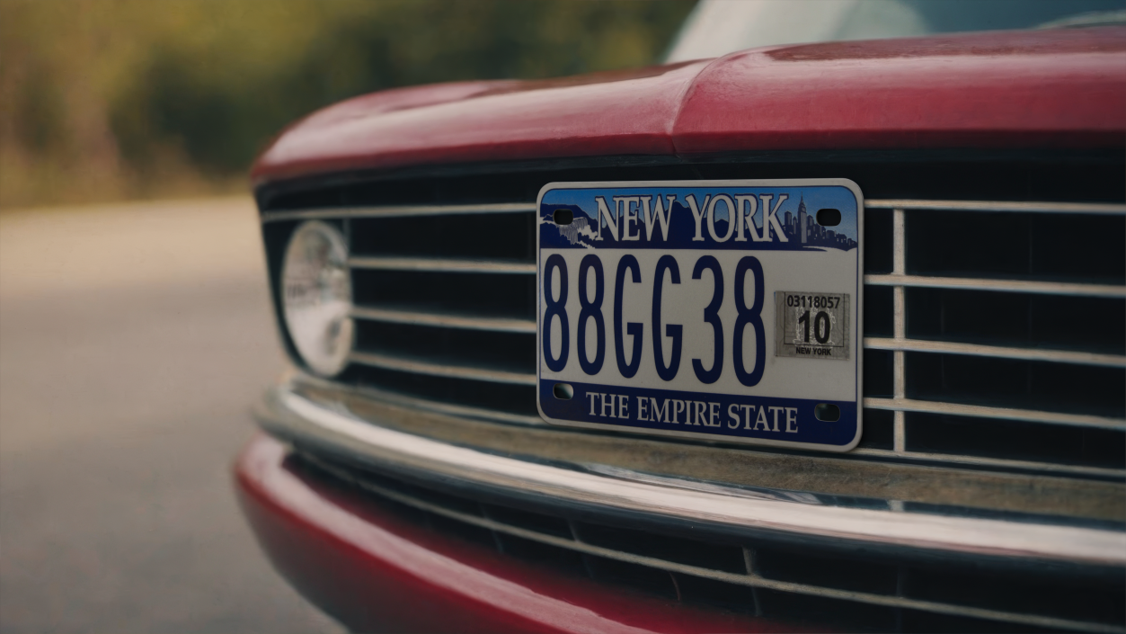 New York License Plate 3D