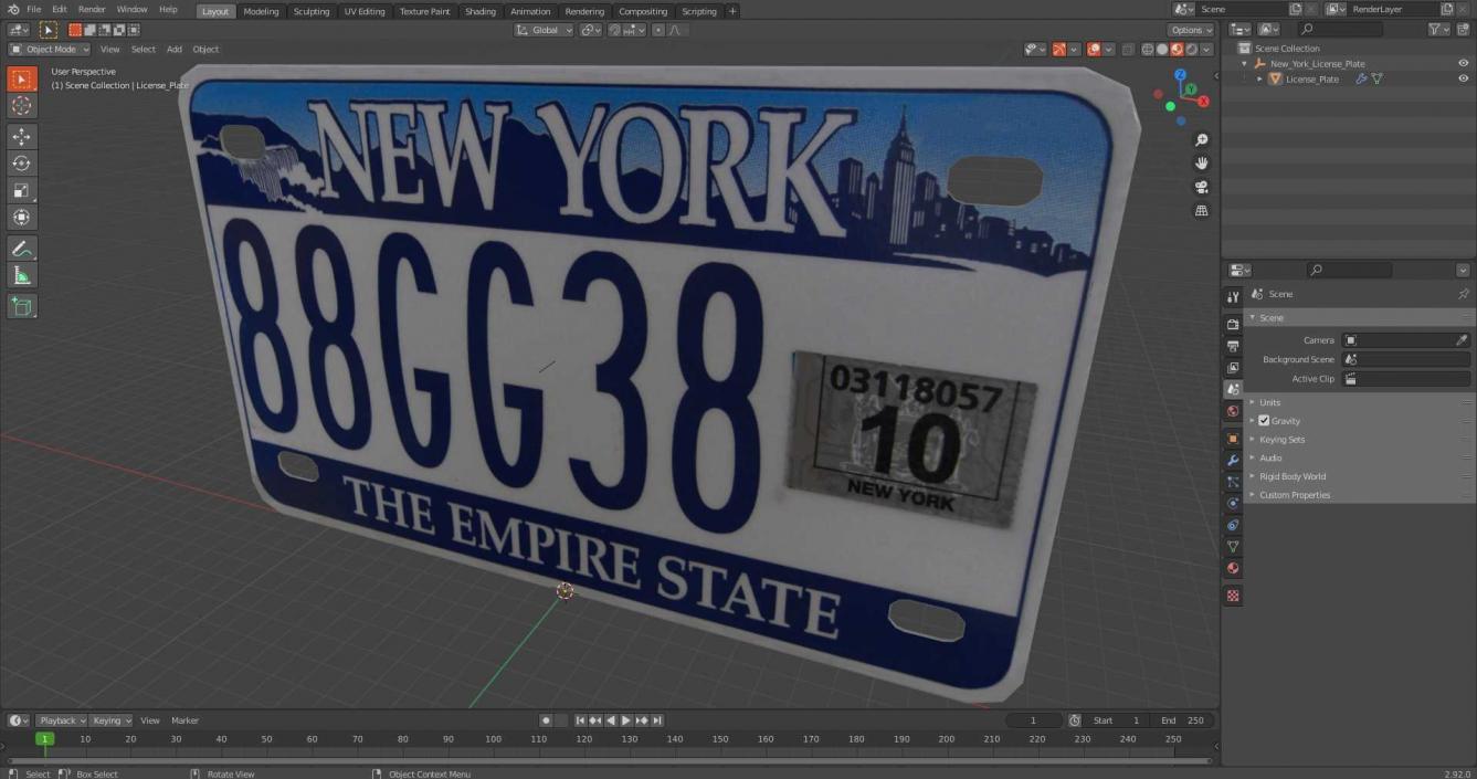 New York License Plate 3D