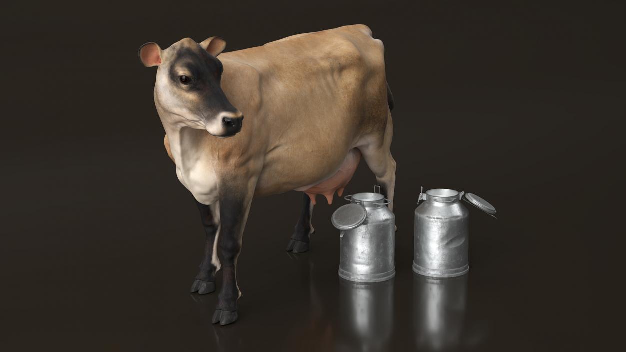 Jersey Heifer and Milk Bucket 3D model