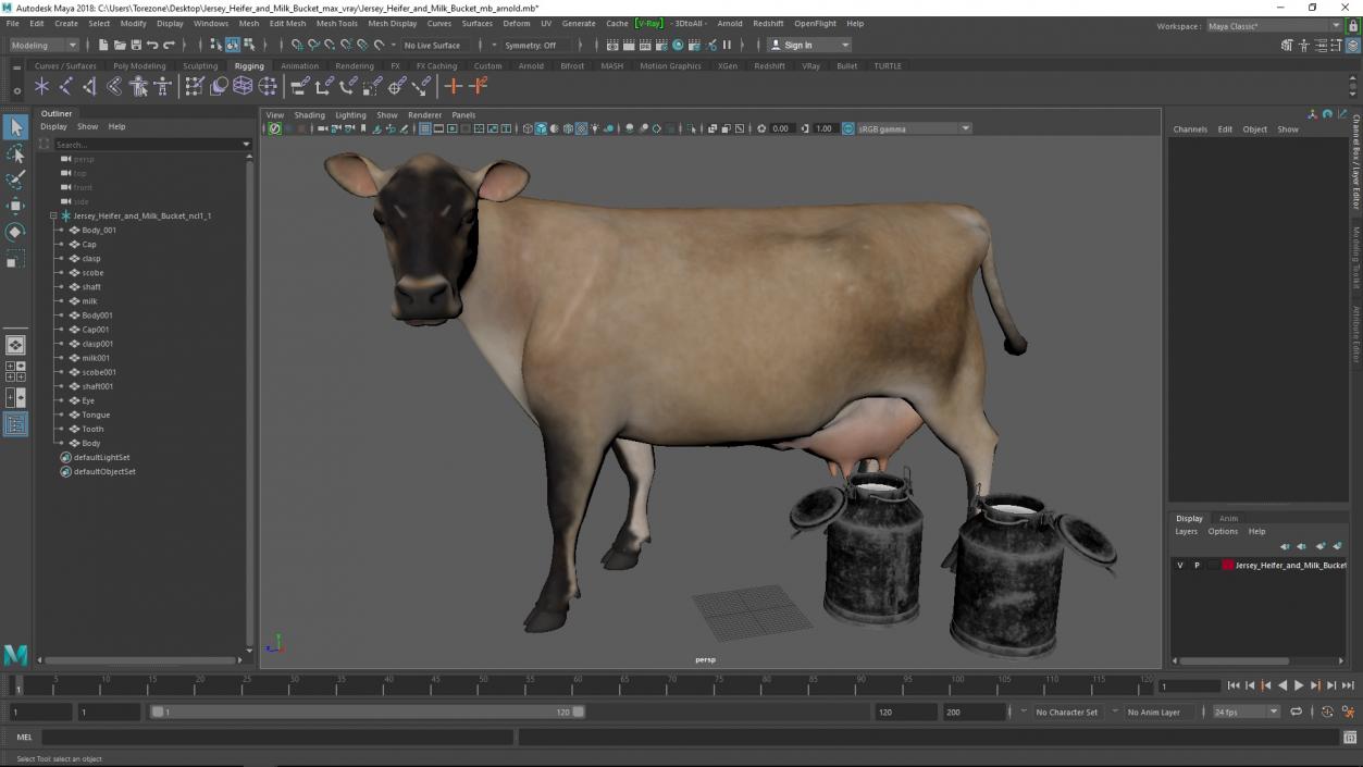 Jersey Heifer and Milk Bucket 3D model