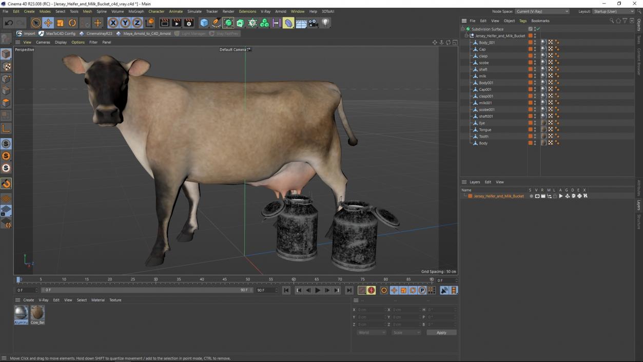 Jersey Heifer and Milk Bucket 3D model