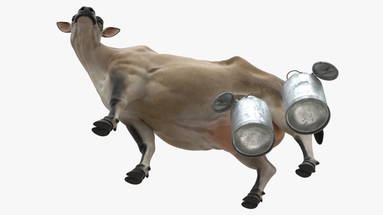 Jersey Heifer and Milk Bucket 3D model