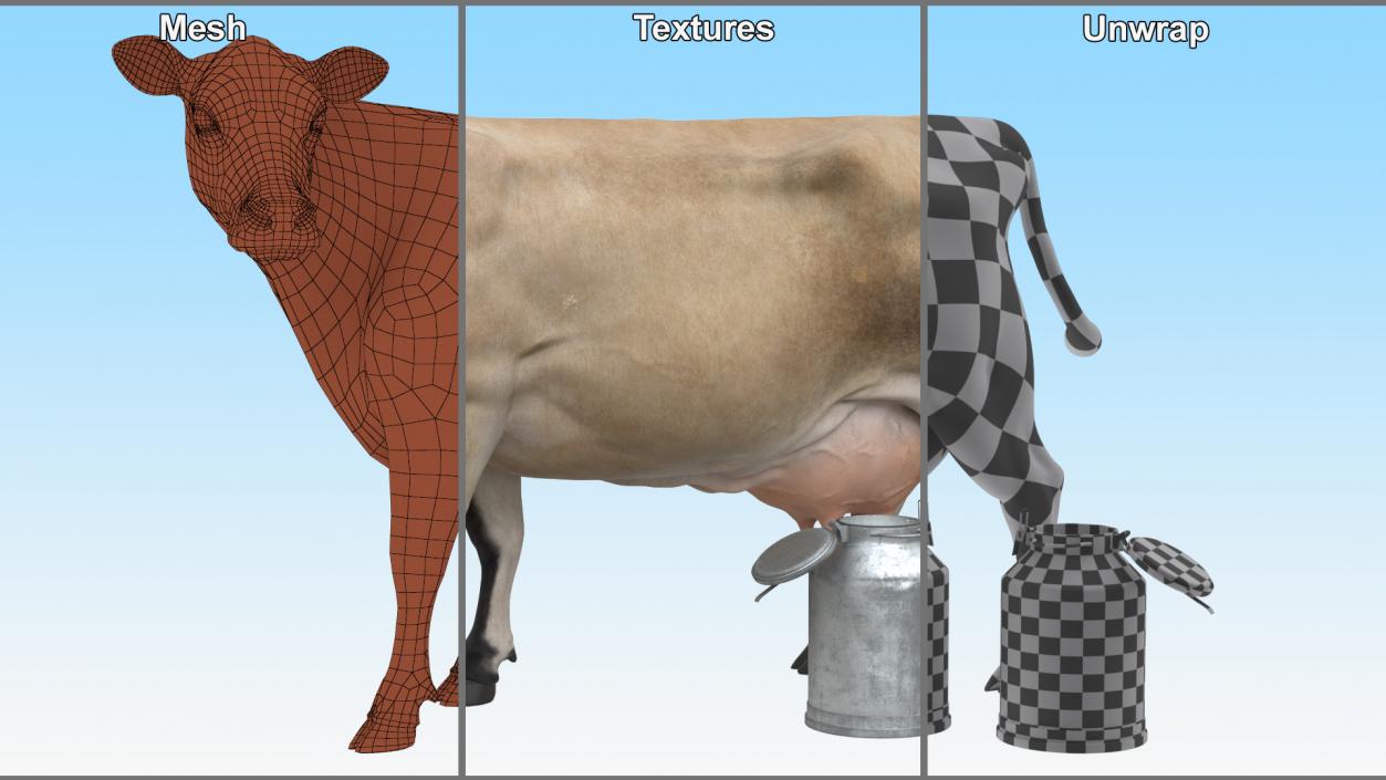 Jersey Heifer and Milk Bucket 3D model