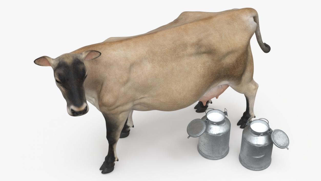 Jersey Heifer and Milk Bucket 3D model