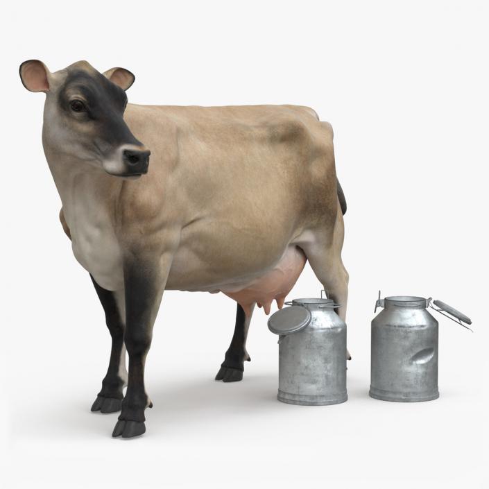 Jersey Heifer and Milk Bucket 3D model