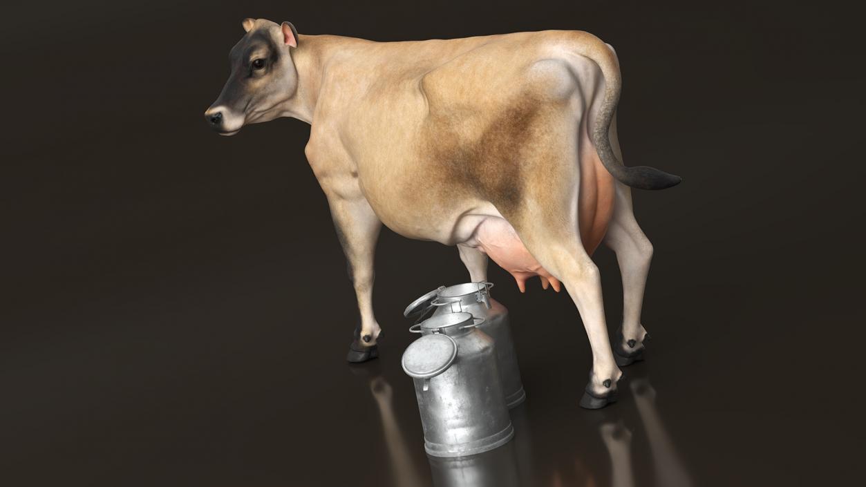 Jersey Heifer and Milk Bucket 3D model