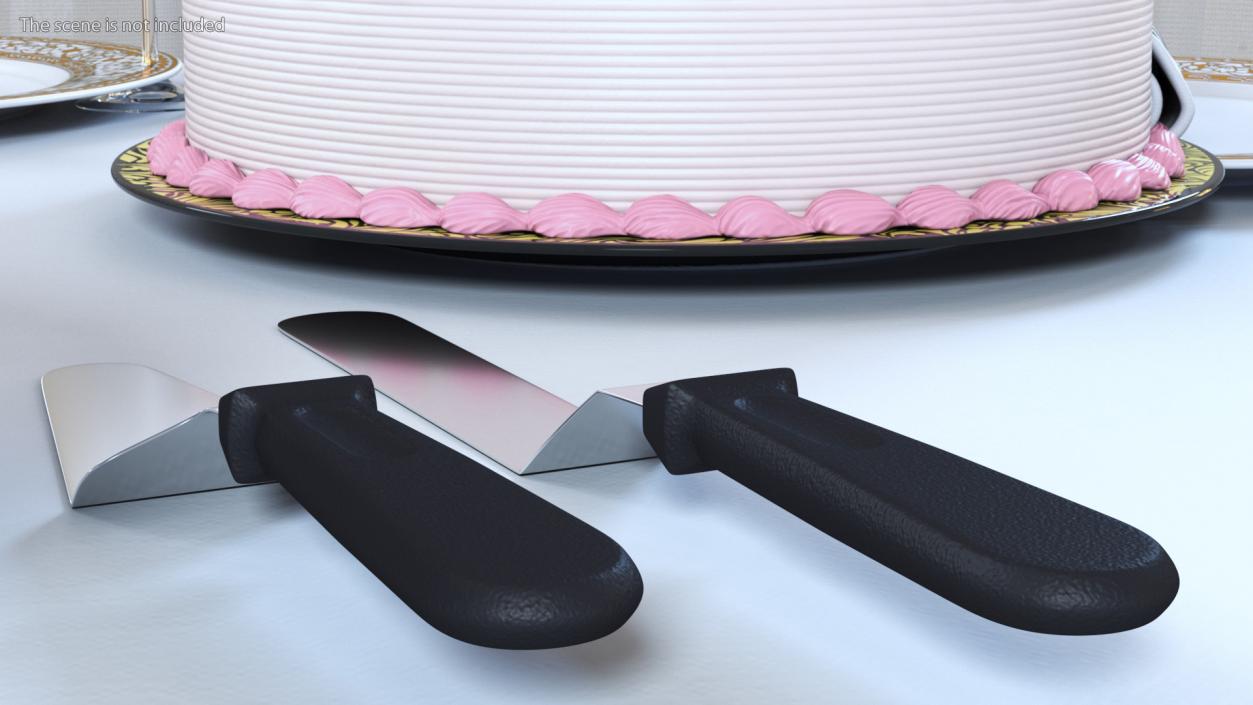 3D Cake Lifter