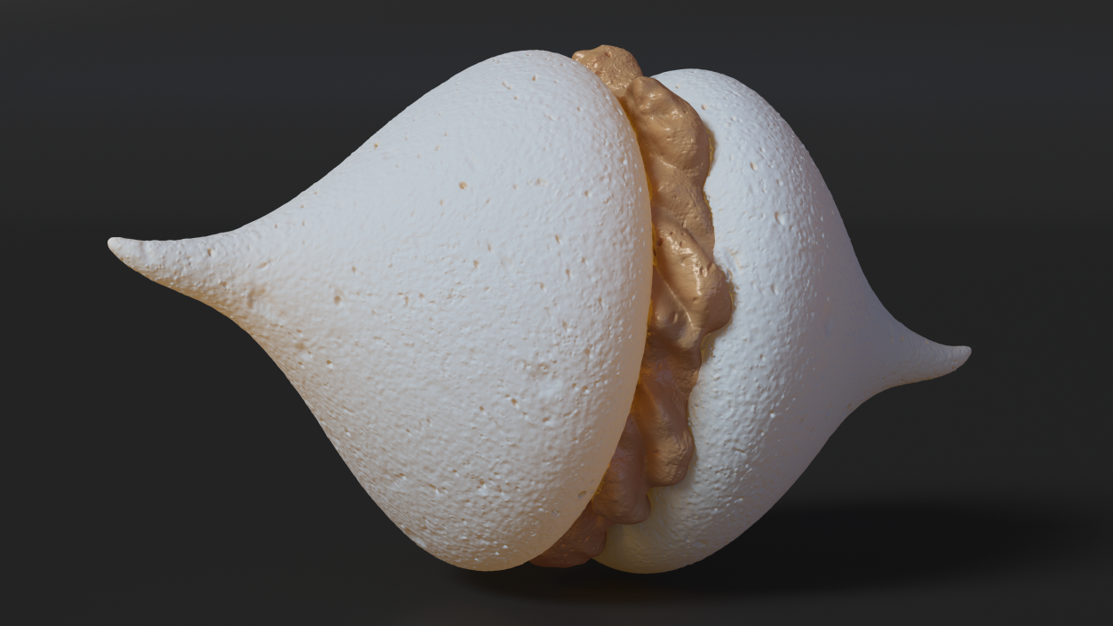 3D Smooth Meringue with Caramel Filling 2 model