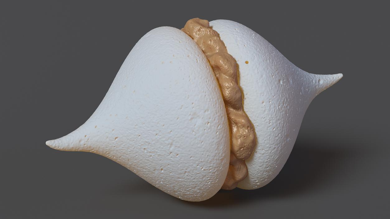 3D Smooth Meringue with Caramel Filling 2 model