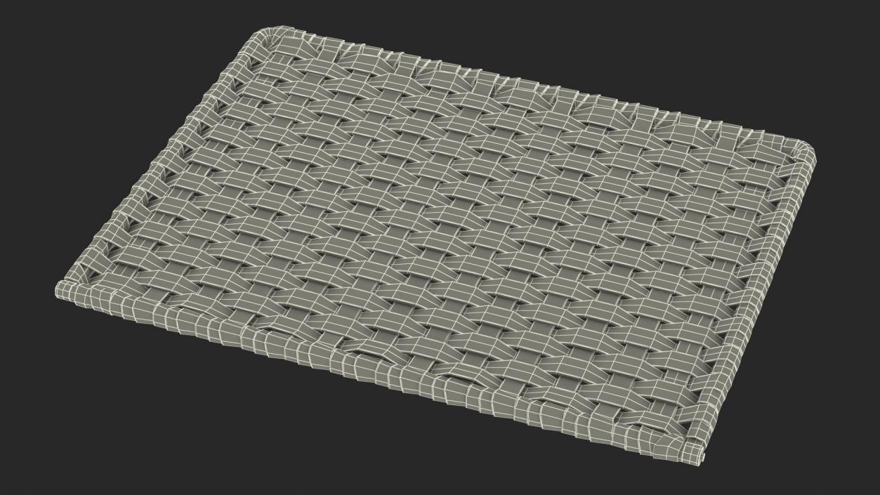 Rattan Weave 3D