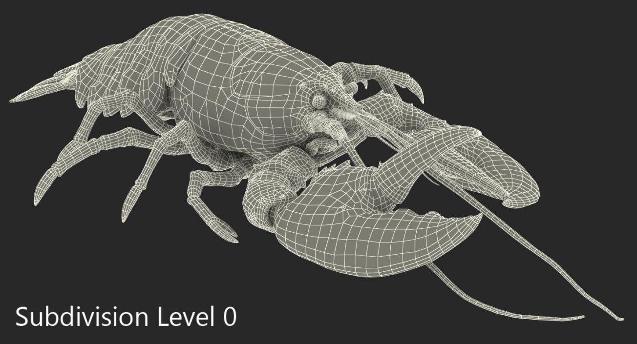 3D Lobster Pose 3 with Fur model