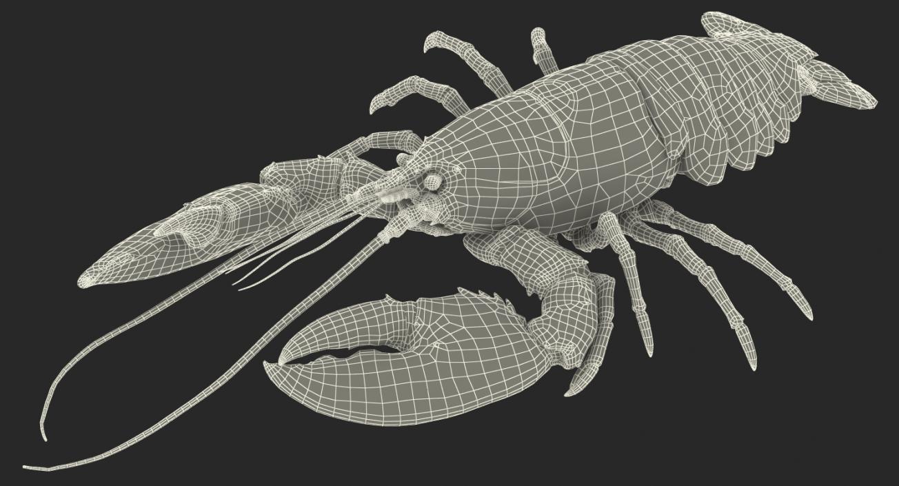 3D Lobster Pose 3 with Fur model