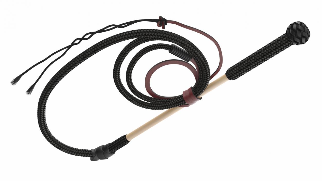 Historical Leather Whip Braided Black 2 3D model