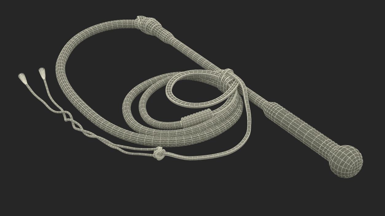 Historical Leather Whip Braided Black 2 3D model