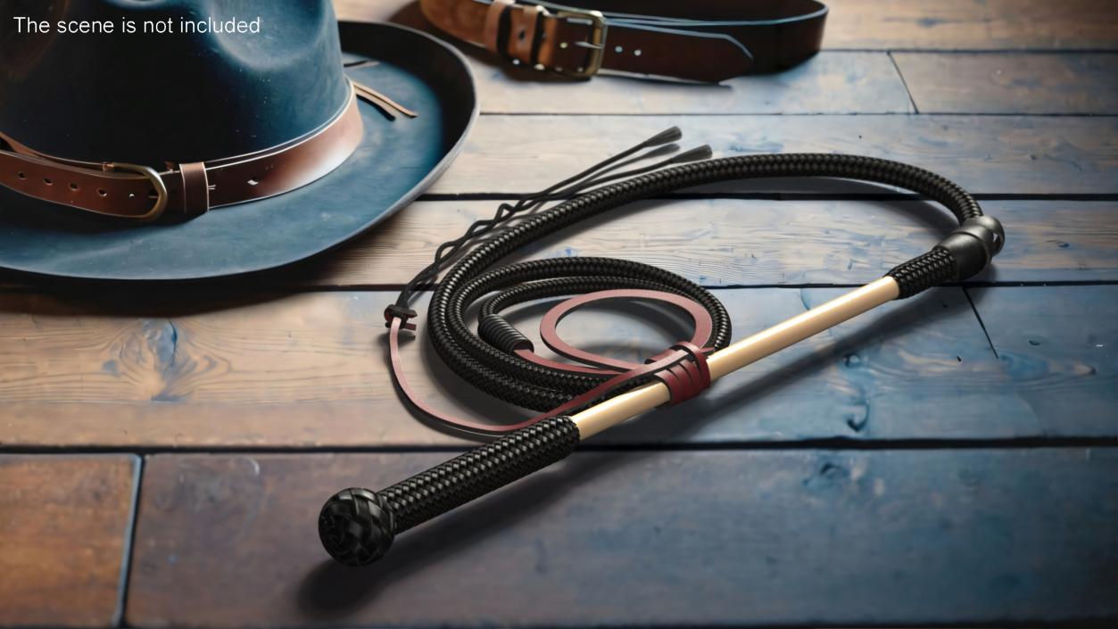 Historical Leather Whip Braided Black 2 3D model