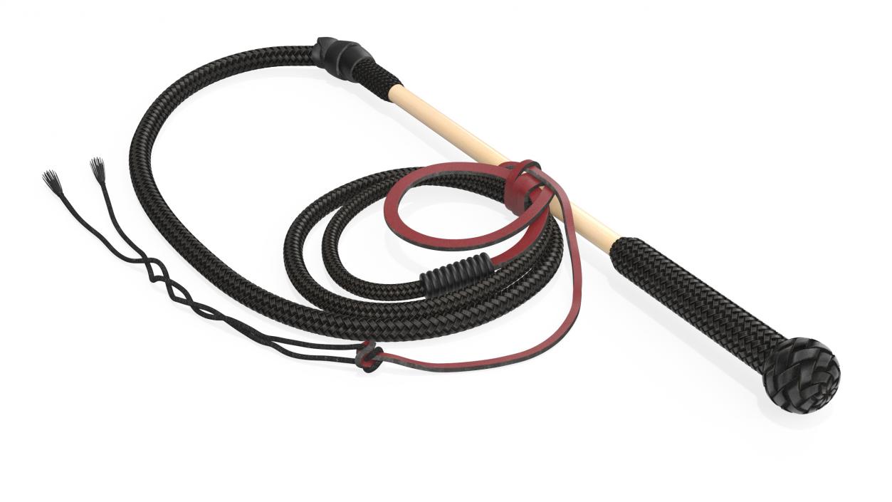 Historical Leather Whip Braided Black 2 3D model