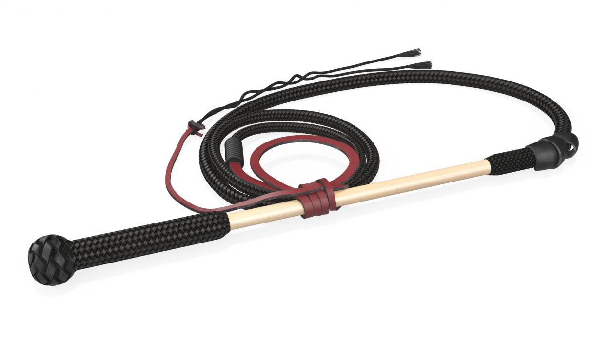 Historical Leather Whip Braided Black 2 3D model