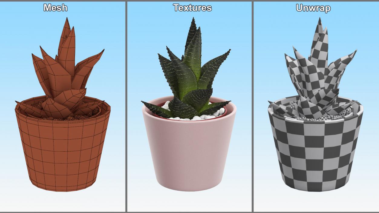 3D model Decorative Indoor Plants Collection